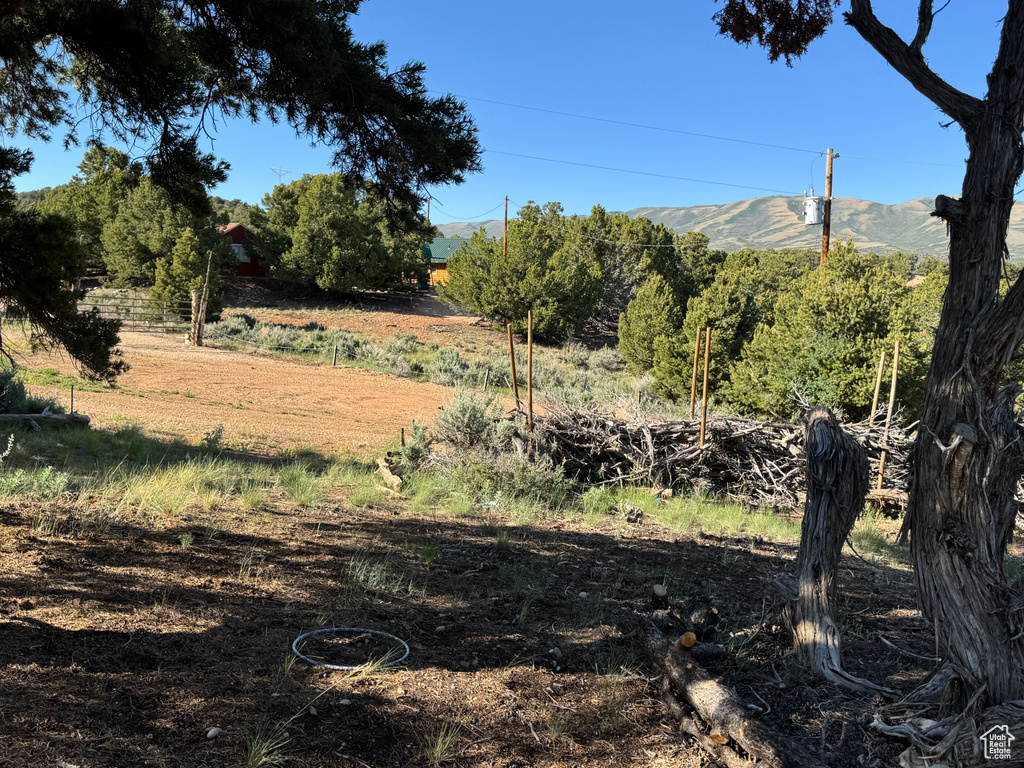 View of yard with a mountain view and a rural view