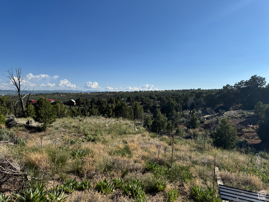 View of mountain background