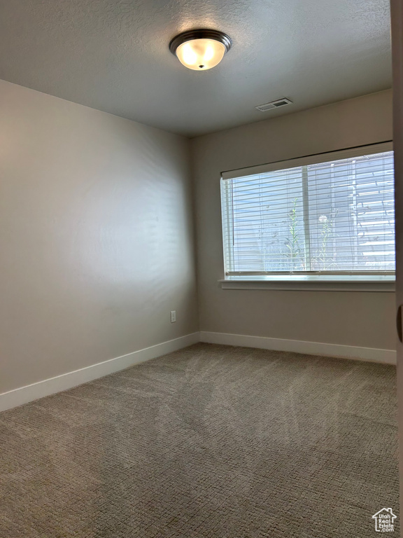 Spare room featuring baseboards, carpet, and a textured ceiling