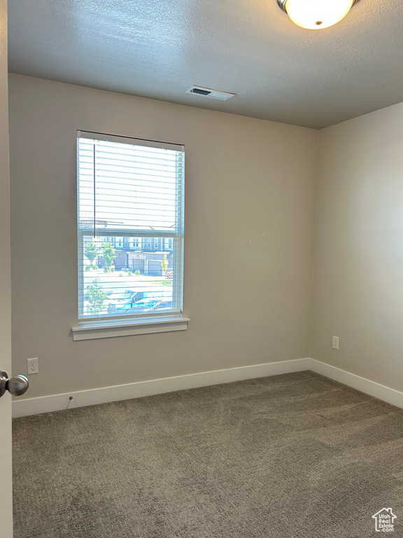 Spare room with plenty of natural light, carpet floors, baseboards, and a textured ceiling