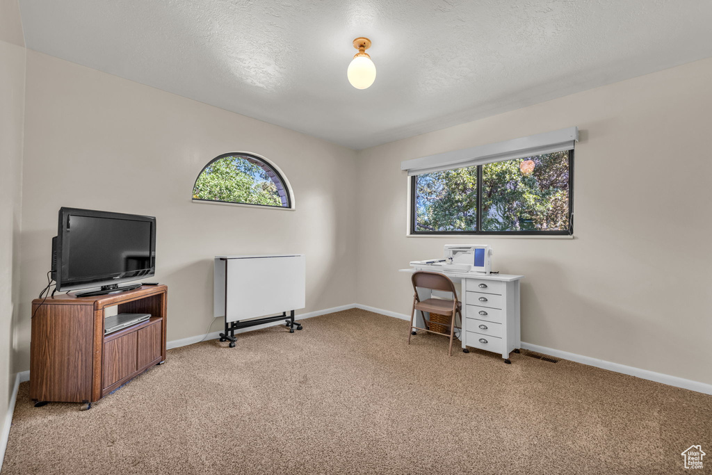 Office featuring light carpet, healthy amount of natural light, baseboards, and a textured ceiling
