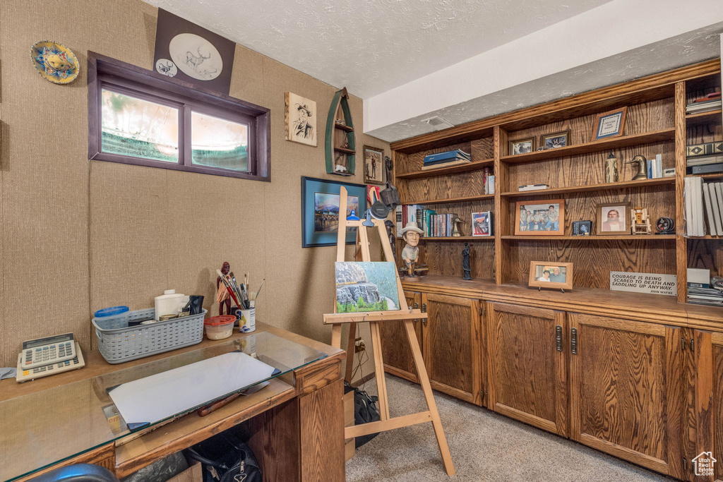 Office area featuring light colored carpet and a textured ceiling