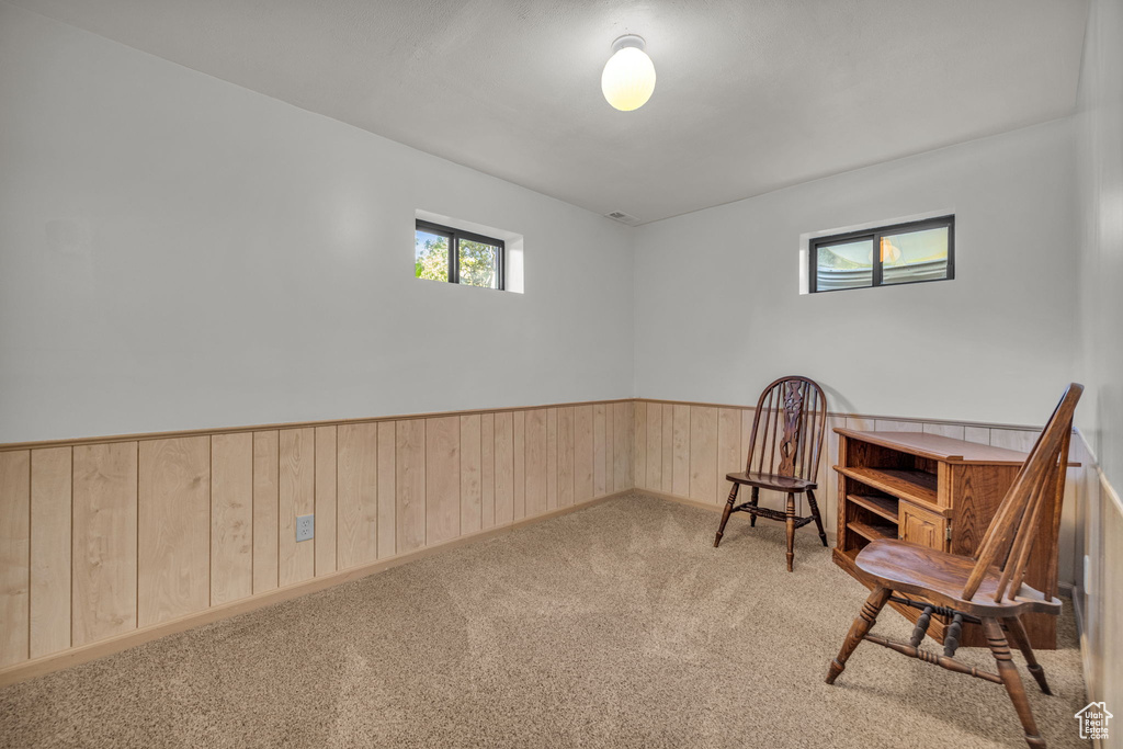 Living area featuring wainscoting, wood walls, and carpet