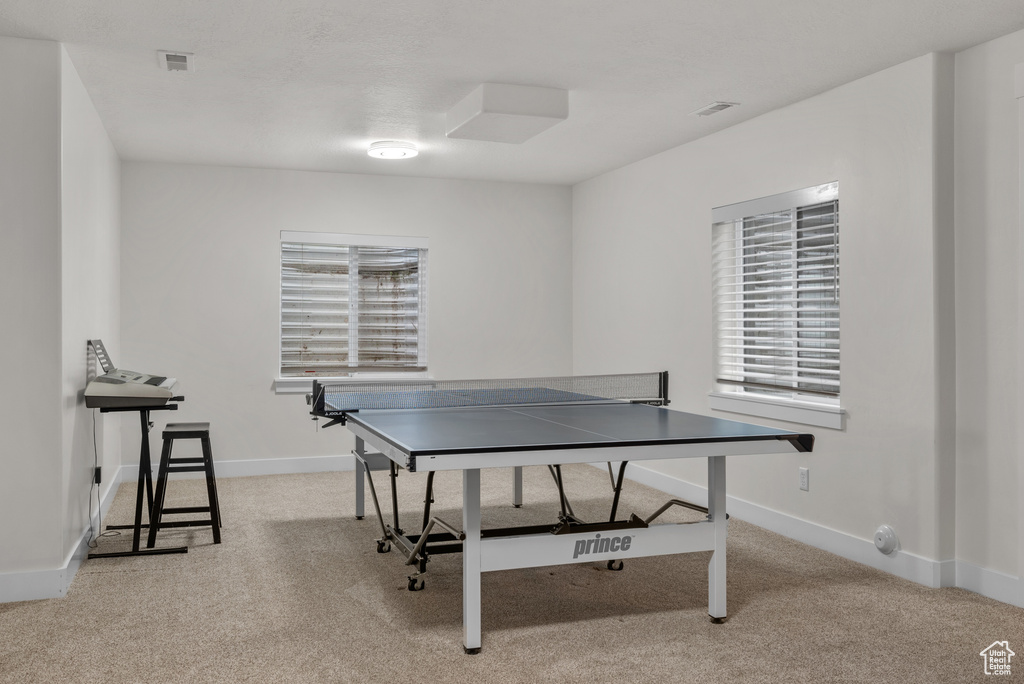 Rec room featuring light colored carpet and healthy amount of natural light