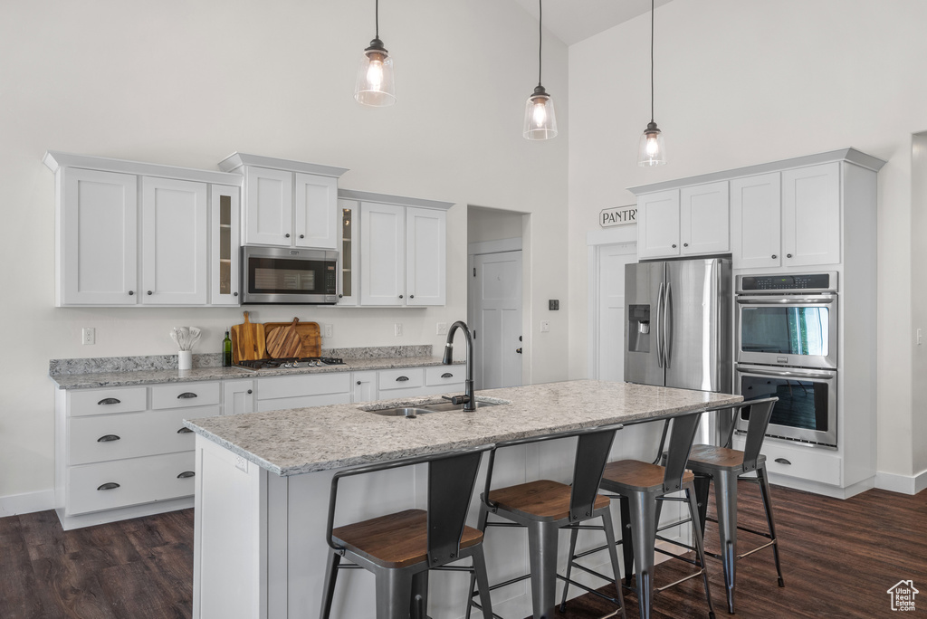 Kitchen with stainless steel appliances, high vaulted ceiling, dark wood finished floors, glass insert cabinets, and a breakfast bar