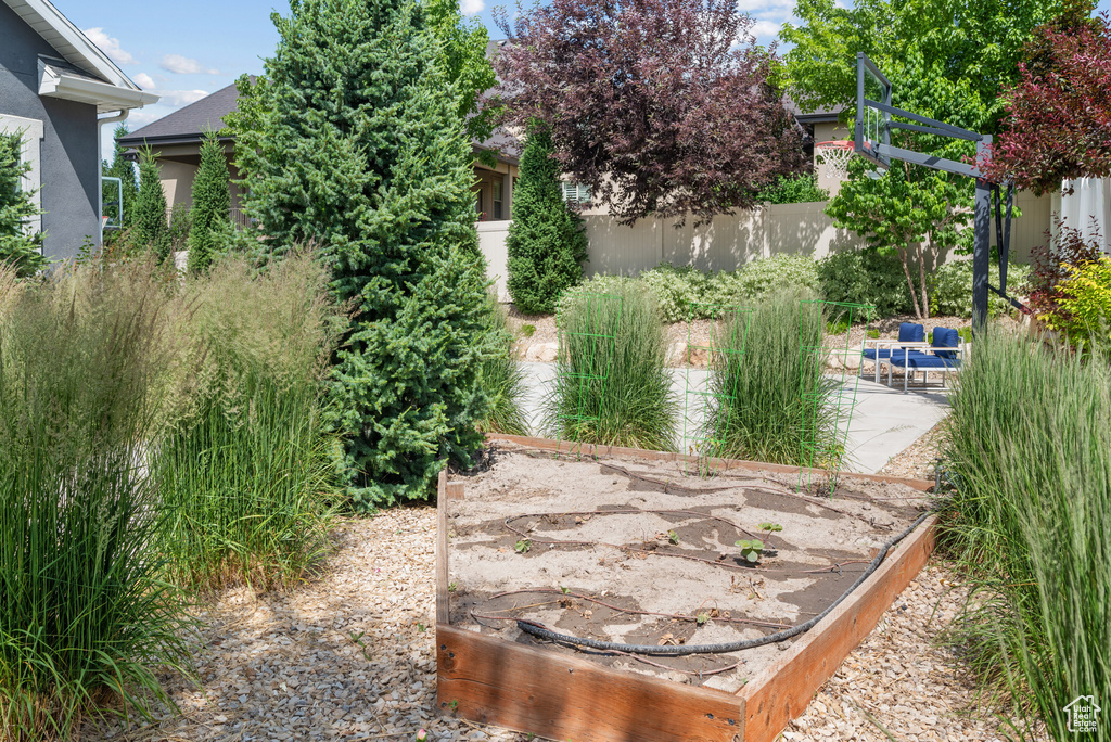 View of yard with a patio and a vegetable garden