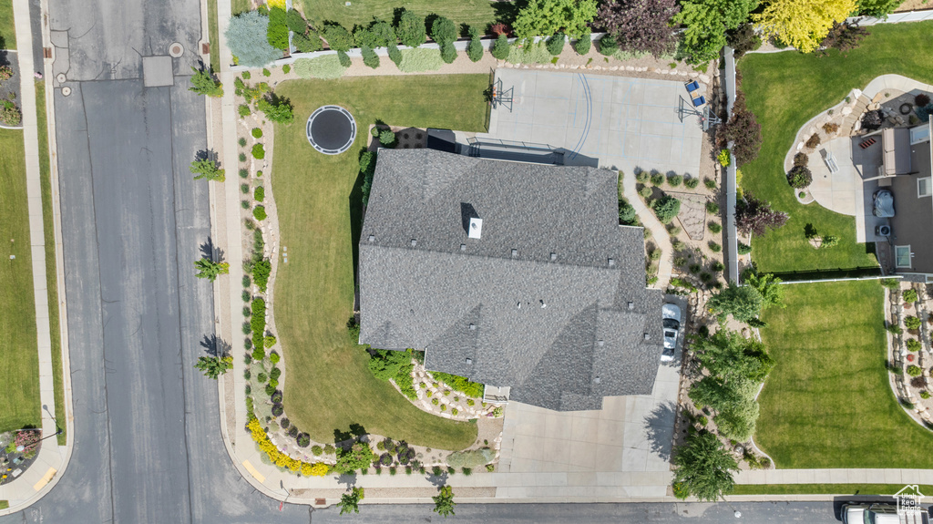 Bird\'s eye view