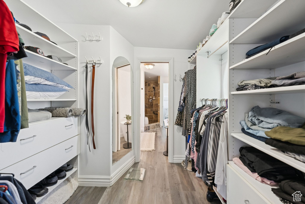 Spacious closet featuring wood finished floors