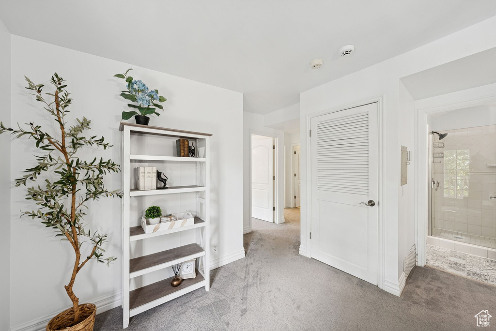 Hallway with carpet floors and baseboards
