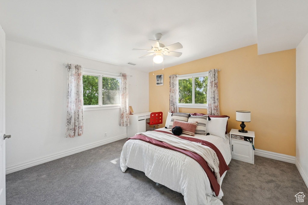 Carpeted bedroom featuring multiple windows and ceiling fan