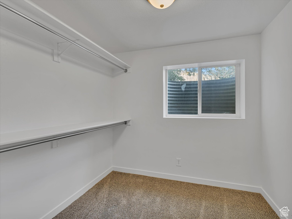 Spacious closet with carpet flooring
