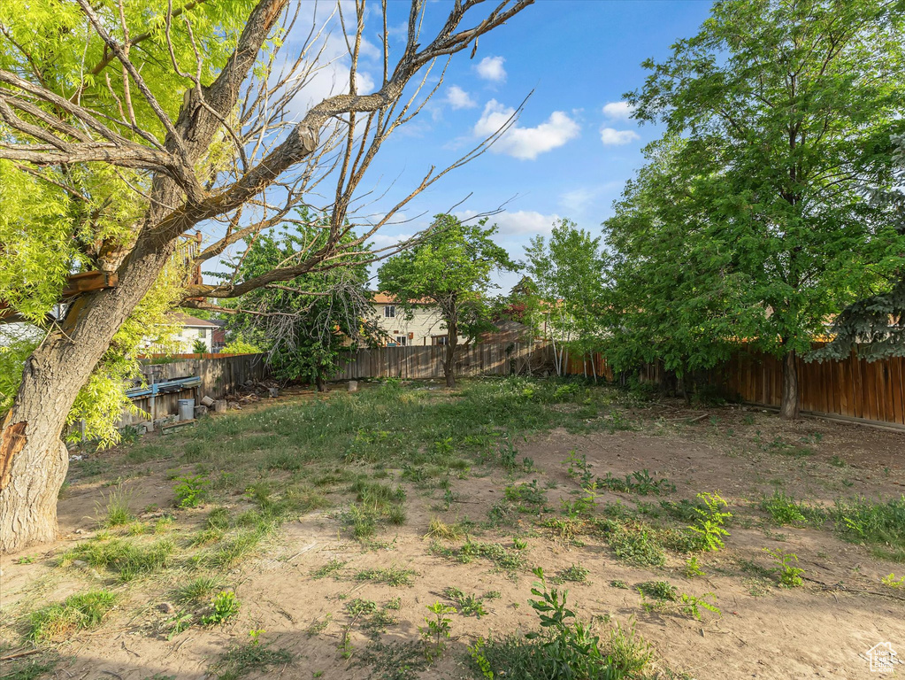 View of fenced backyard