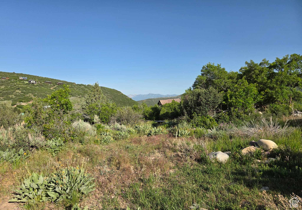 Mountain view