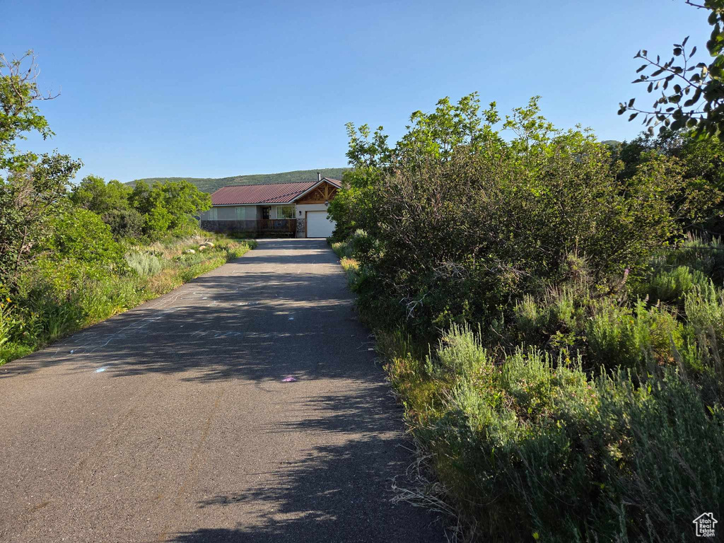 View of property hidden behind natural elements with driveway and a garage