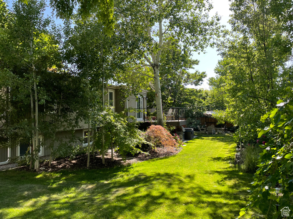 View of green lawn