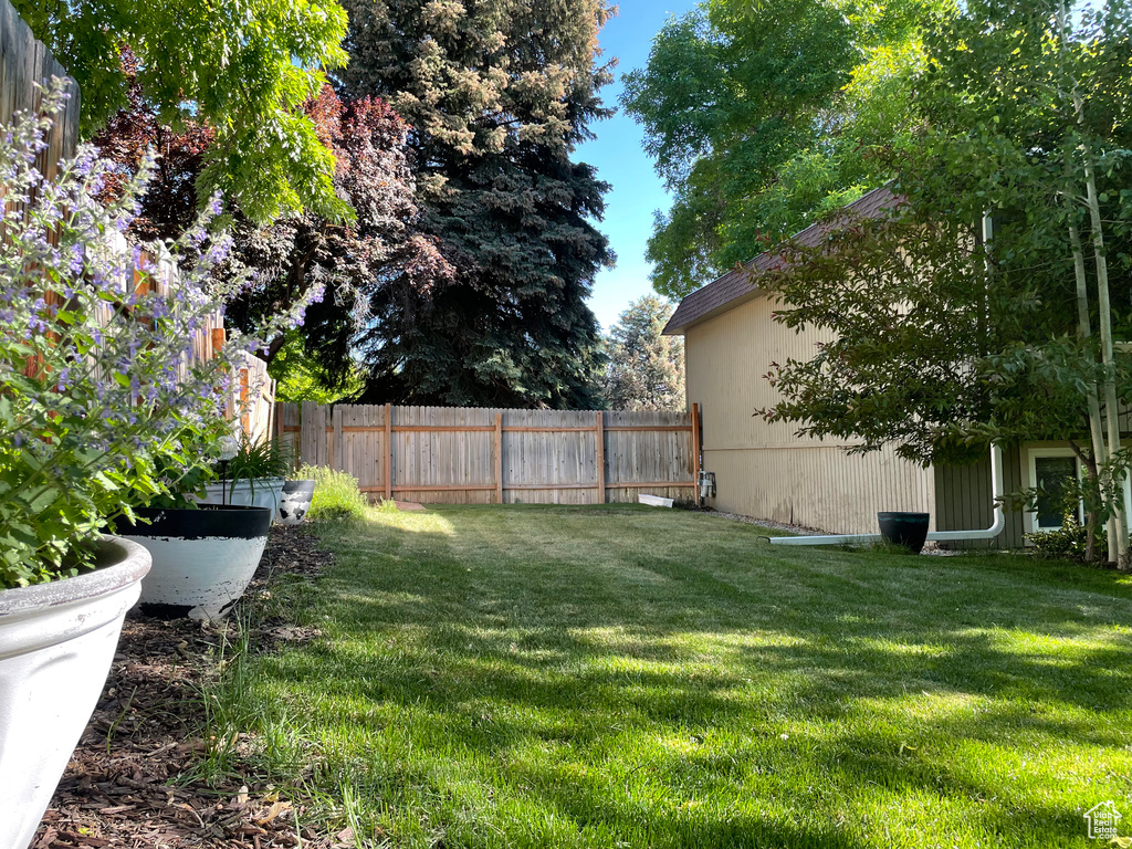 View of fenced backyard