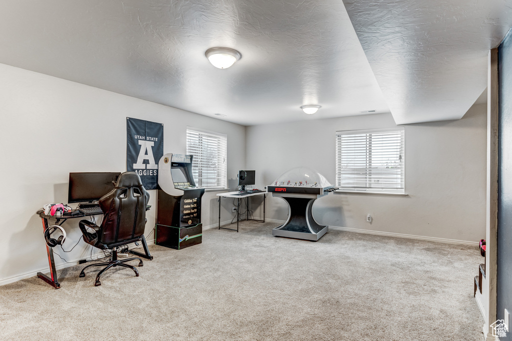 Office featuring carpet and plenty of natural light