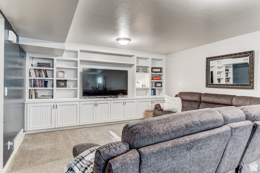 Living area with light colored carpet and built in features