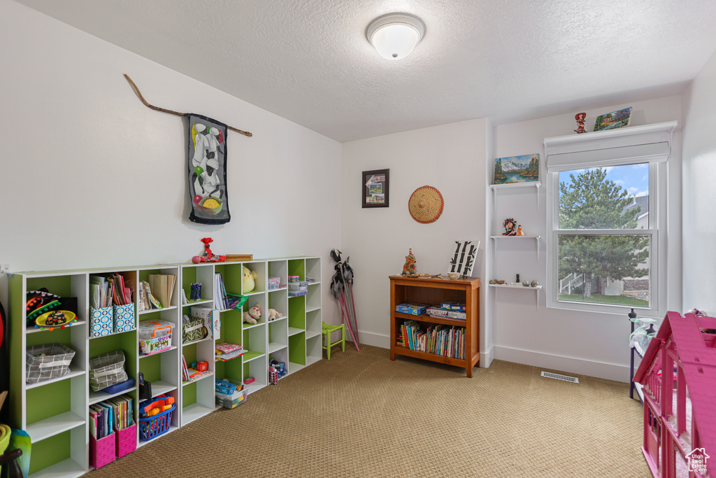 Recreation room featuring a textured ceiling, carpet flooring, and baseboards