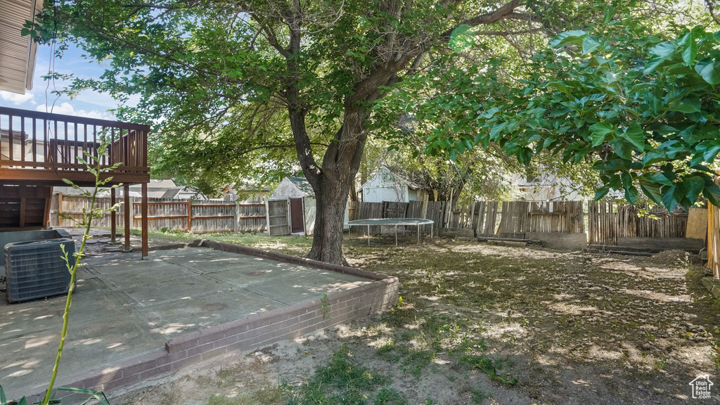 Fenced backyard with a trampoline and a patio