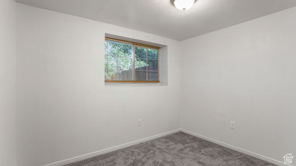 Unfurnished room with carpet floors and a textured ceiling