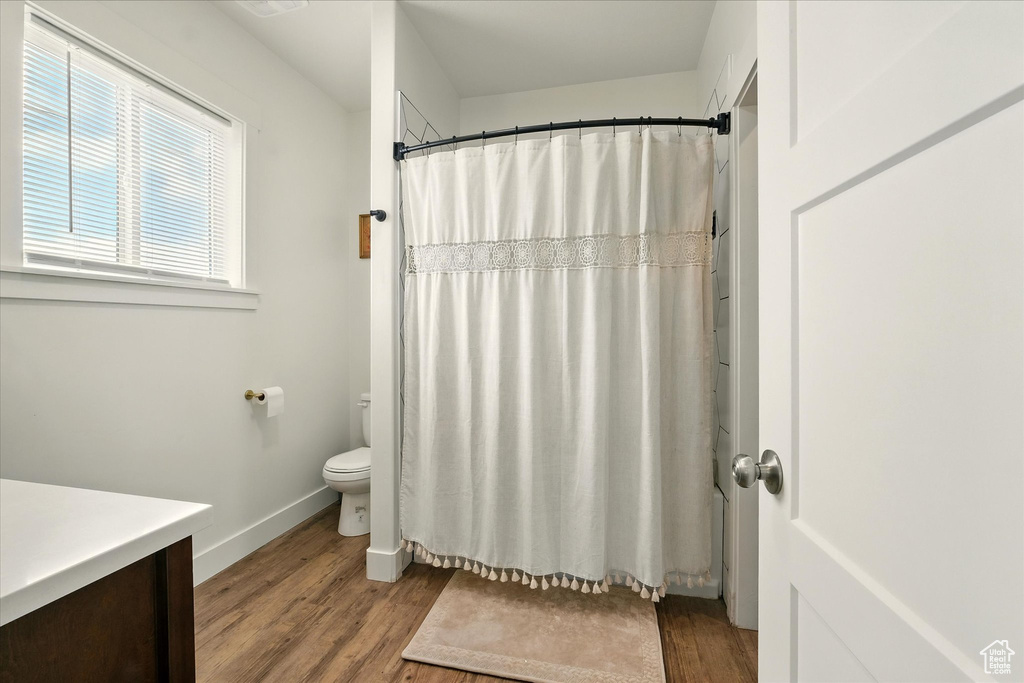 Bathroom with vanity, wood finished floors, and a shower with shower curtain