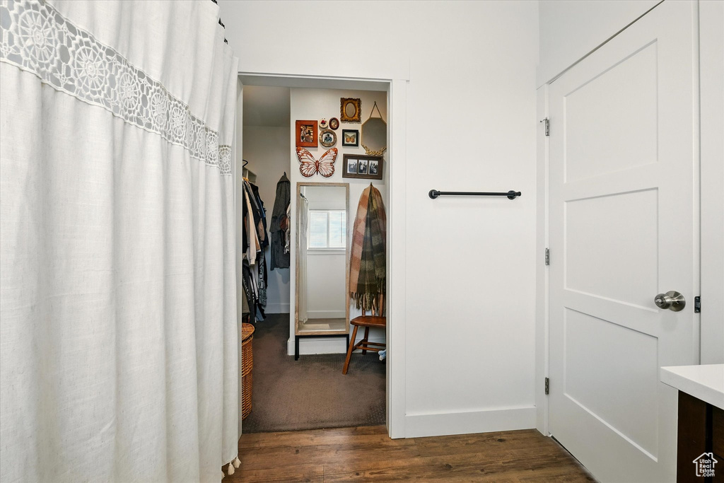 Spacious closet featuring dark wood-type flooring