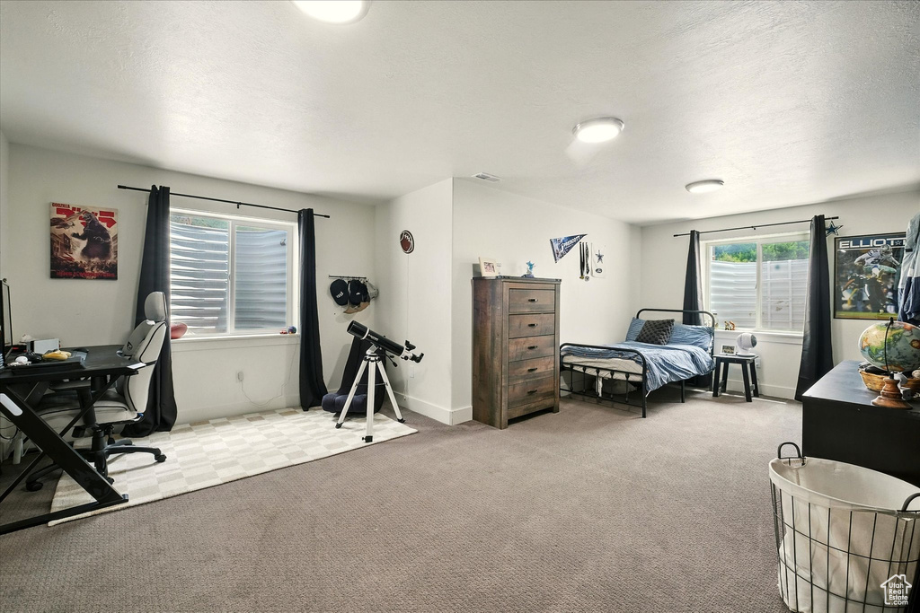 Carpeted bedroom with an office area and baseboards