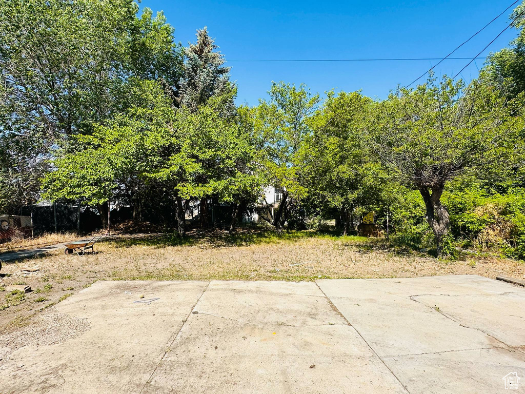 View of yard featuring a patio area