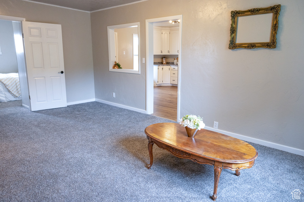 Living area featuring carpet and ornamental molding
