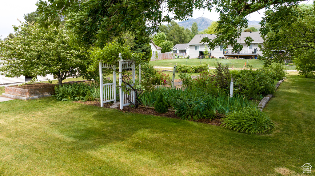 View of grassy yard with a mountain view