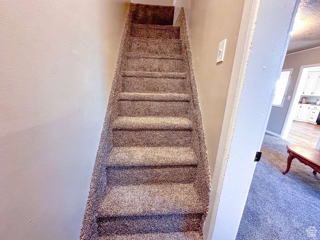 Stairway featuring carpet
