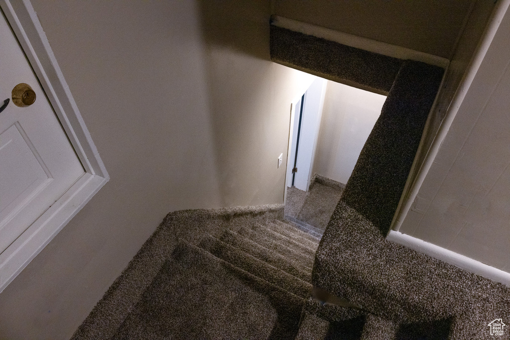 Stairway with carpet flooring