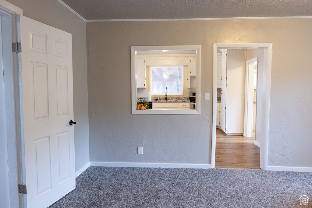 Carpeted empty room featuring crown molding and a textured wall