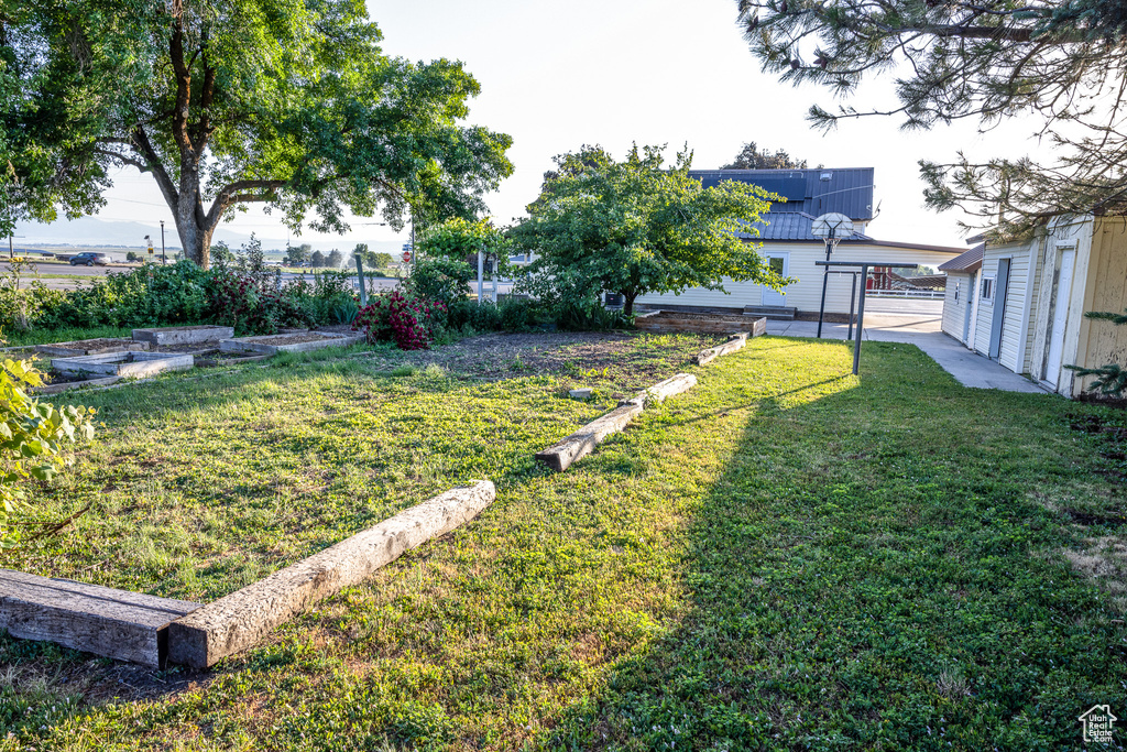 View of grassy yard