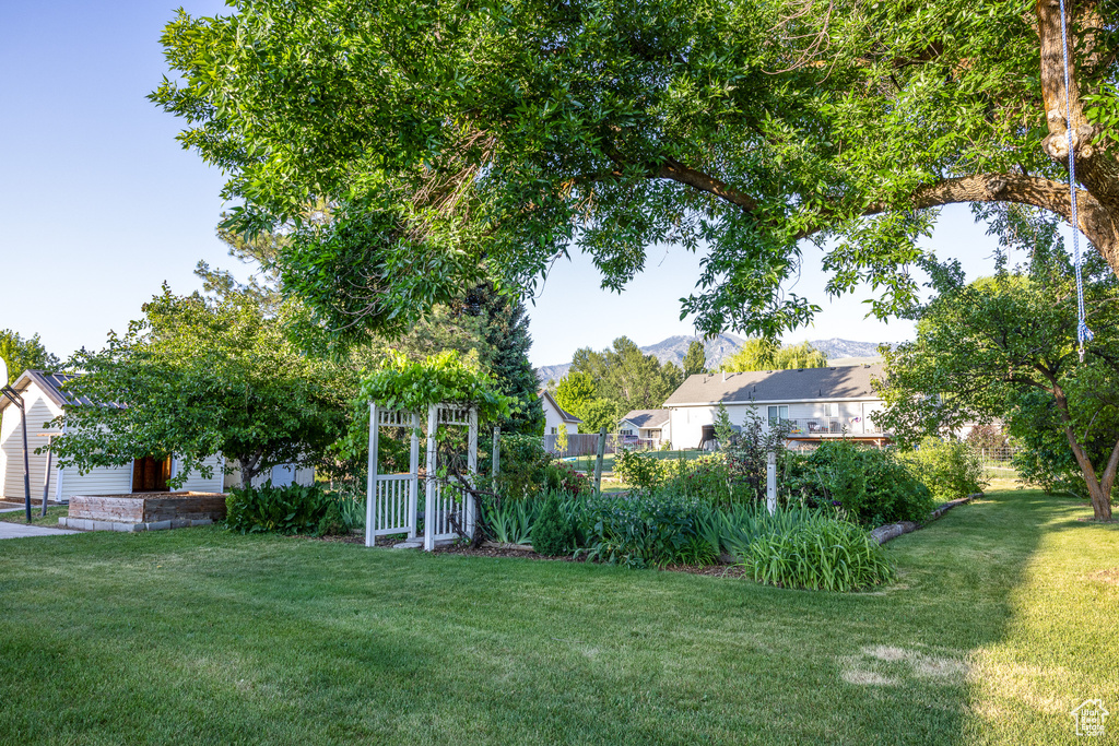 View of grassy yard featuring a residential view