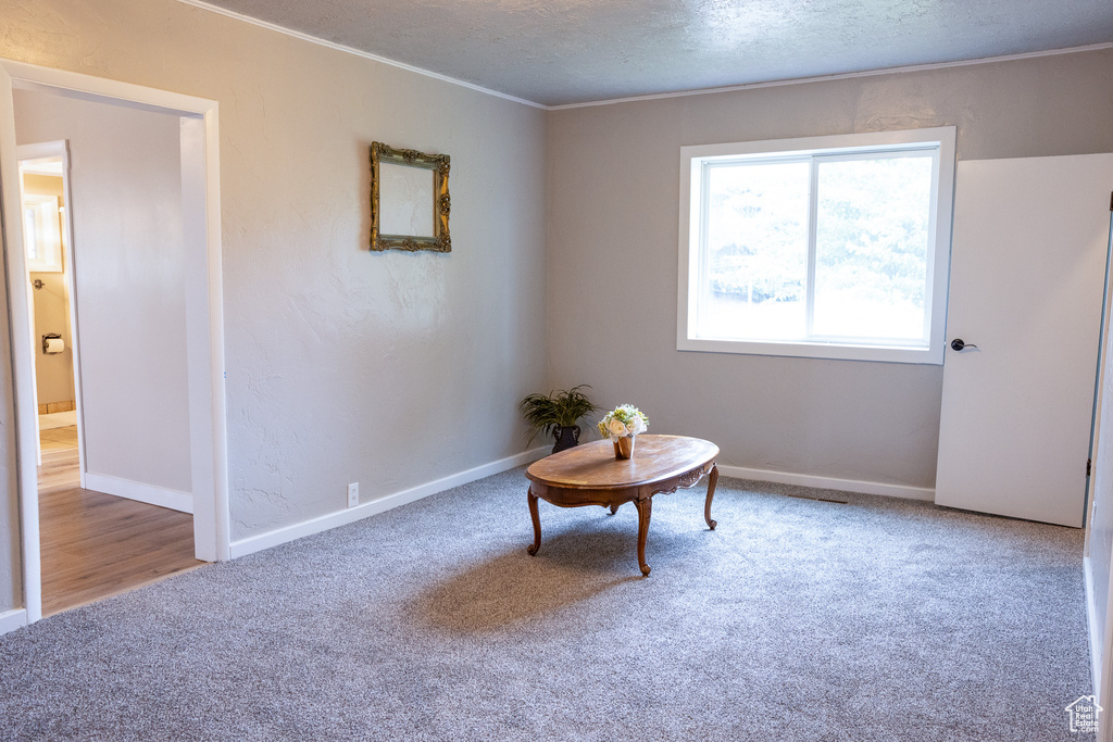 Living area featuring carpet flooring, ornamental molding, and a textured ceiling