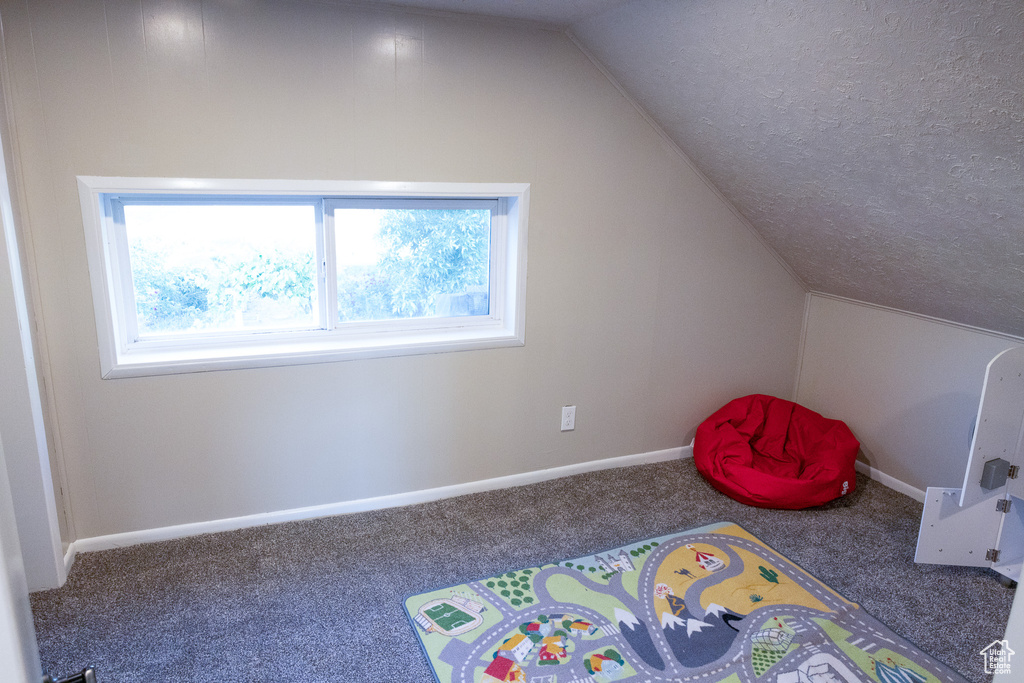 Playroom featuring carpet flooring, vaulted ceiling, and a textured ceiling