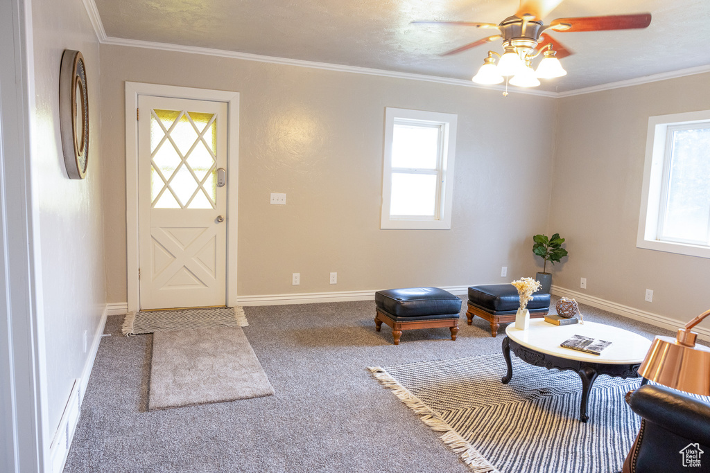 Foyer entrance with plenty of natural light, carpet flooring, a ceiling fan, and ornamental molding