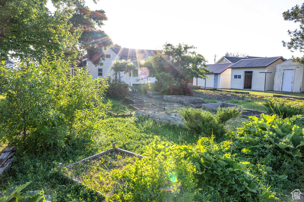 View of yard featuring a vegetable garden and a storage shed
