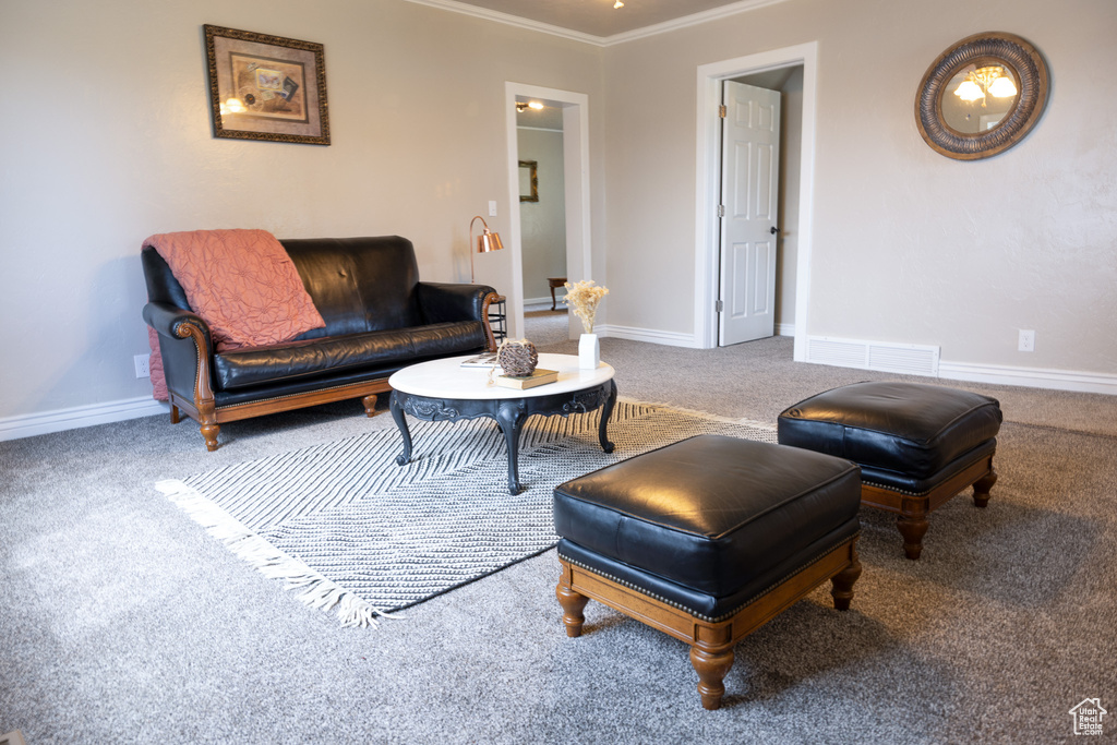 Living area featuring carpet floors and ornamental molding
