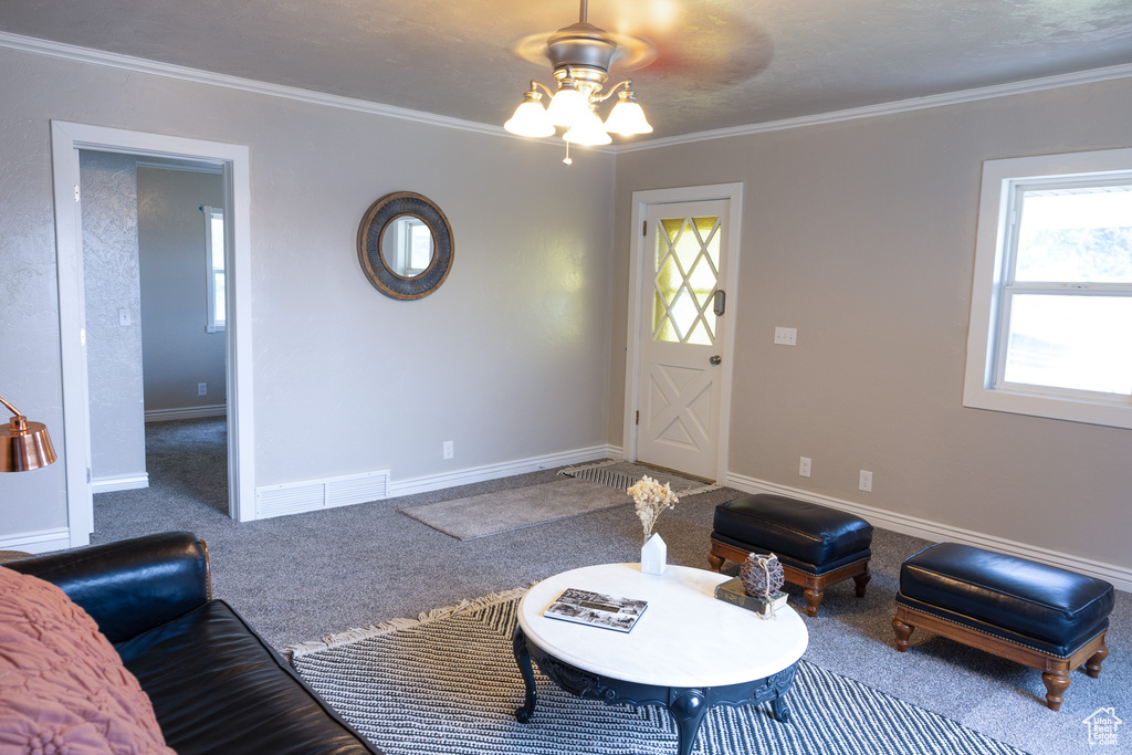 Living area featuring ceiling fan, carpet, and ornamental molding