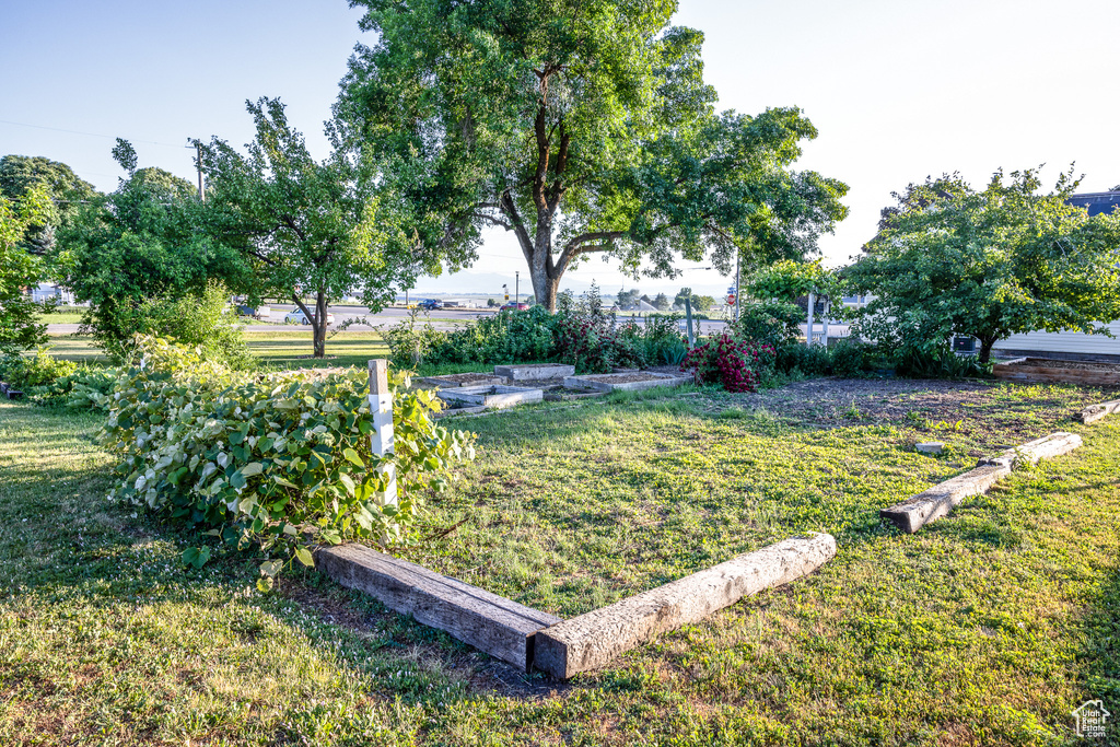 View of grassy yard