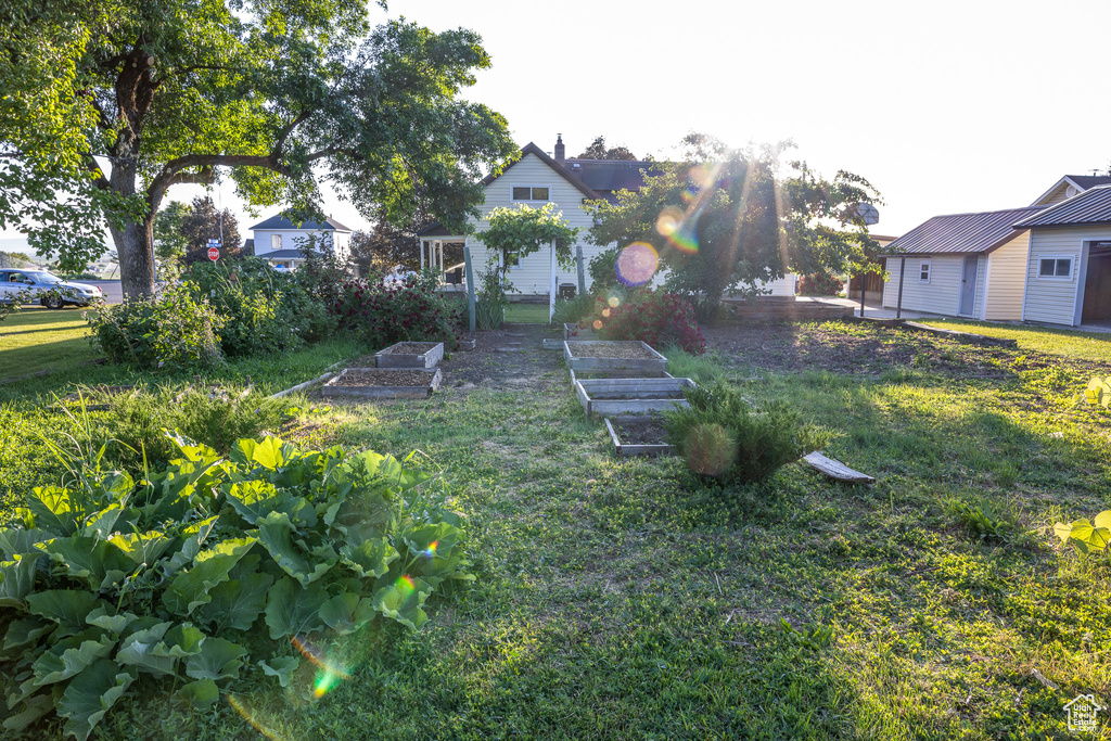 View of green lawn with a garden