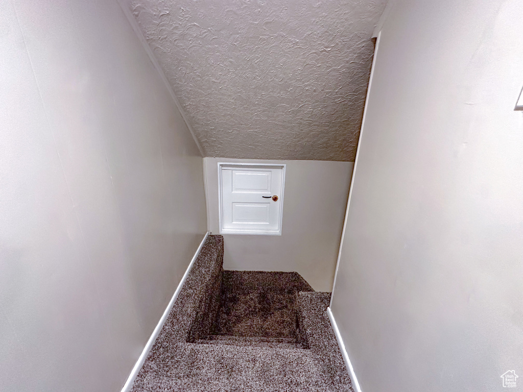 Stairs with a textured ceiling and carpet