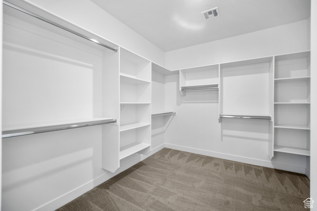 Spacious closet featuring dark colored carpet