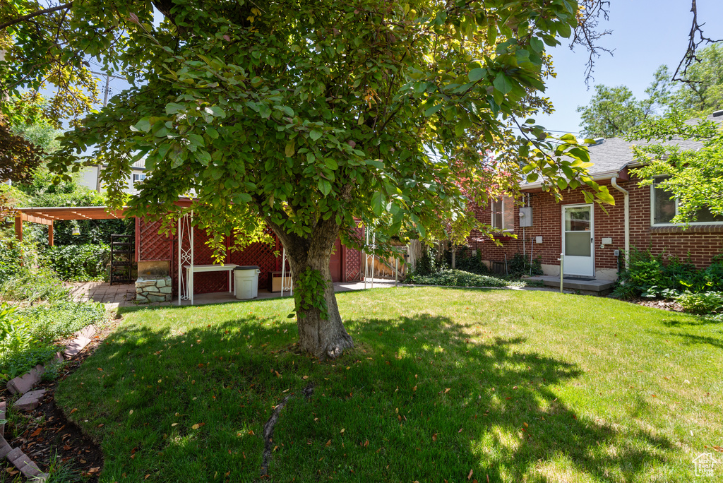 View of grassy yard