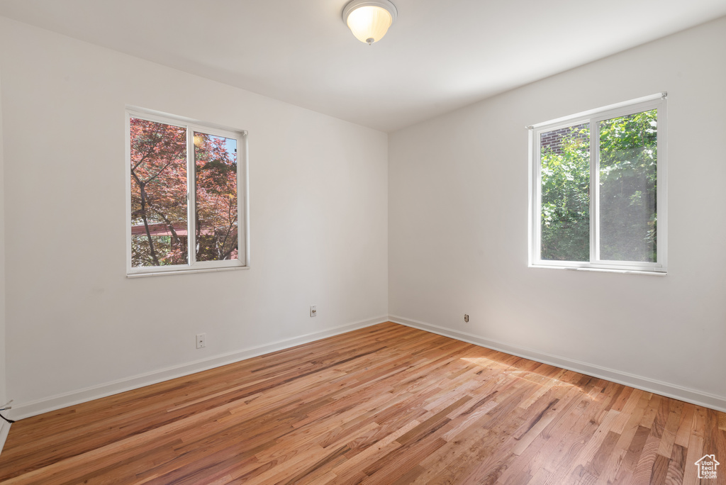 Unfurnished room with plenty of natural light and light wood-style floors