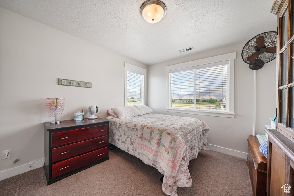 Bedroom featuring dark colored carpet and a textured ceiling