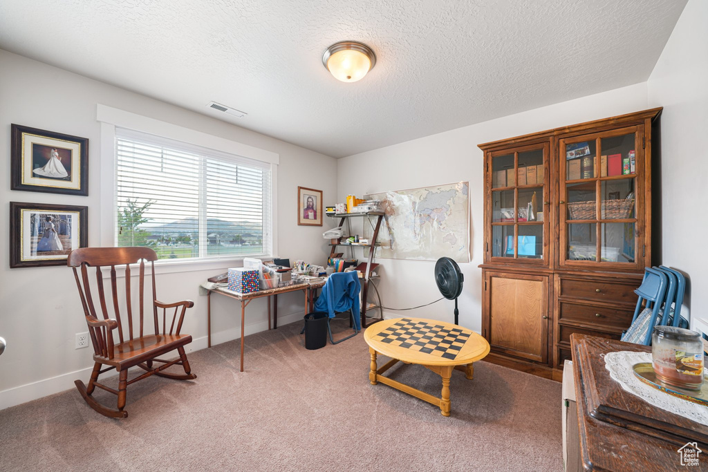 Carpeted office with a textured ceiling and baseboards